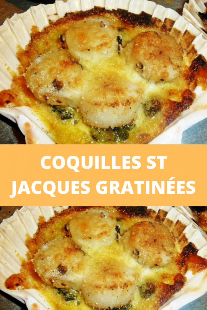 Coquilles St Jacques gratinées